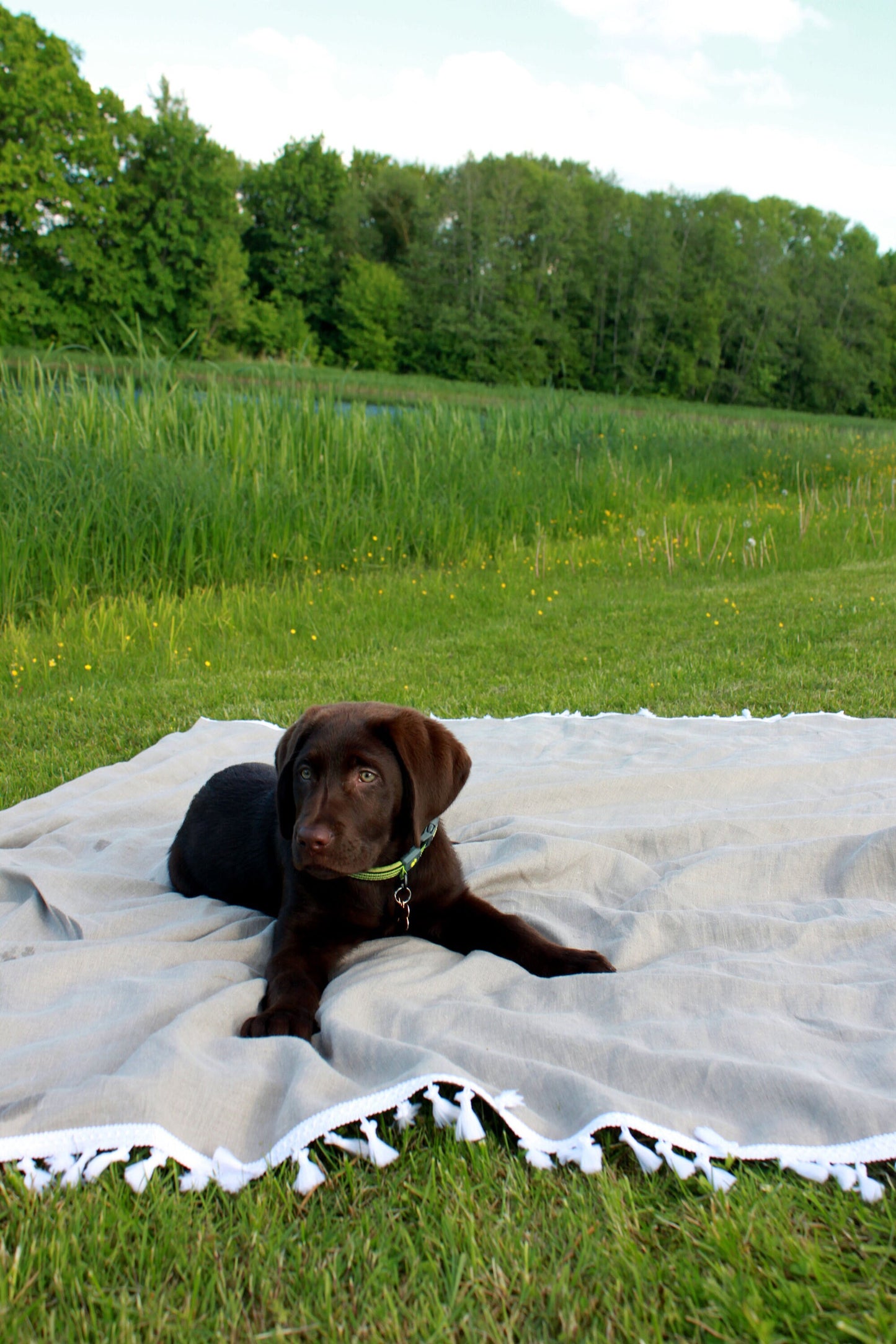 Natural Linen Beach Towel.